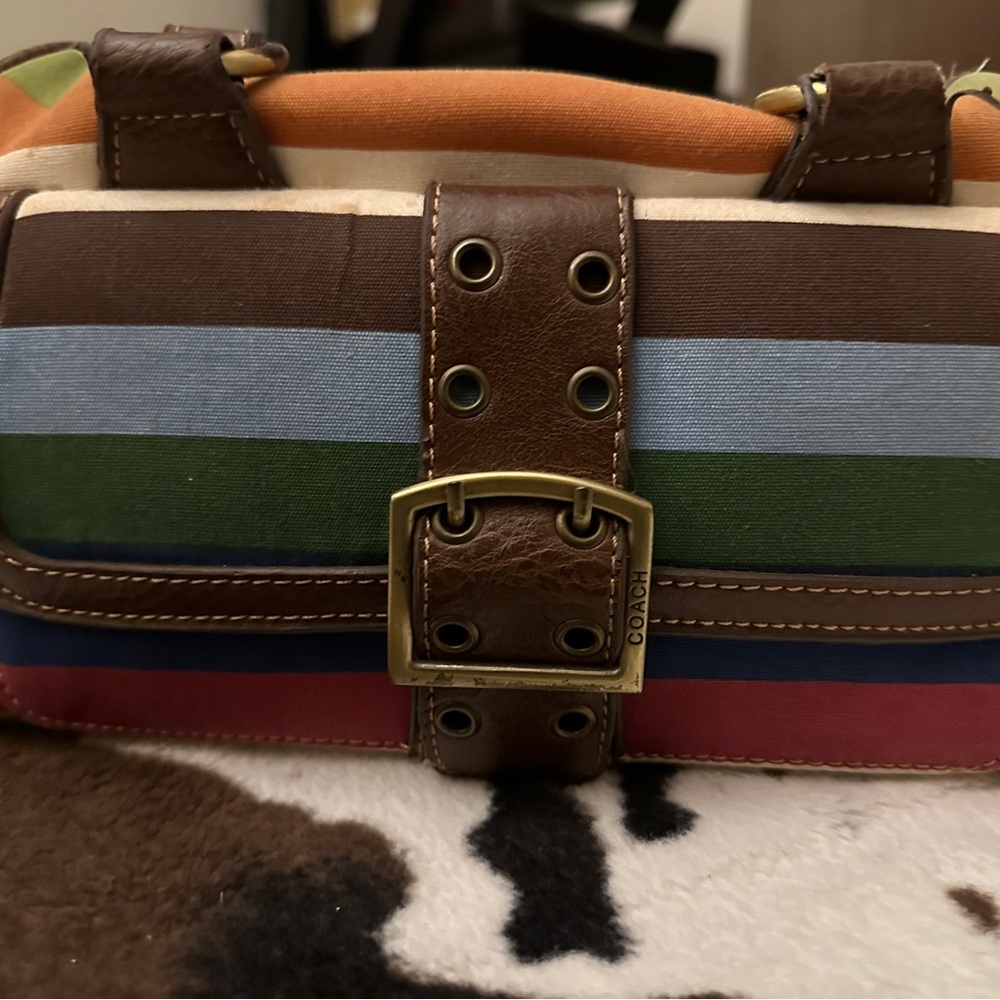 Coach Multicolor Striped Handbag